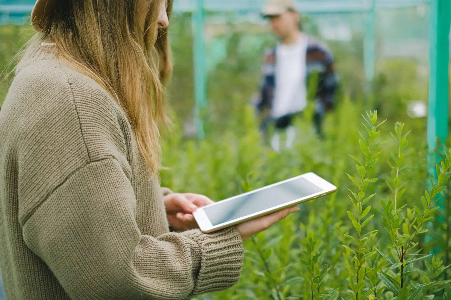 Side view of crop anonymous female gardener using digital device for taking picture of green plants in glasshouse
